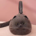 Load image into Gallery viewer, Plush One Shoulder Cat Bag