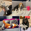 Load image into Gallery viewer, Bite-Resistant Squeaky Corduroy Toy for Small & Large Dogs