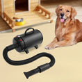 Load image into Gallery viewer, Adjustable Wind Speed, Electric Dog & Cat Hair Dryer with 4 Nozzles