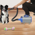 Load image into Gallery viewer, Adjustable Wind Speed, Electric Dog & Cat Hair Dryer with 4 Nozzles