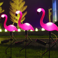 Load image into Gallery viewer, 3PCS Solar Flamingo Ground Lamp