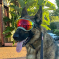 Load image into Gallery viewer, Adjustable Dog Goggles – UV Protection Windproof Sunglasses