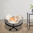 Load image into Gallery viewer, Portable Stainless Steel Elevated Cat Desk Bed