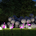 Load image into Gallery viewer, 3PCS Solar Flamingo Ground Lamp