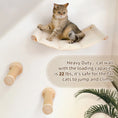 Load image into Gallery viewer, Wall Mounted Cat Hammock with Sisal Rope