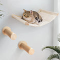 Load image into Gallery viewer, Wall Mounted Cat Hammock with Sisal Rope
