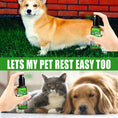 Load image into Gallery viewer, 60ml Flea & Tick Spray for Cats & Dogs