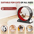 Load image into Gallery viewer, Cat Exercise Wheel