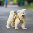 Load image into Gallery viewer, Tactical Cat Harness with Leash
