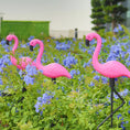 Load image into Gallery viewer, 3PCS Solar Flamingo Ground Lamp

