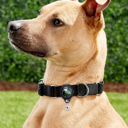 Leather AirTag Protective Case with Collar Loop for Pets
