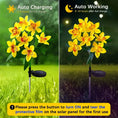 Load image into Gallery viewer, Waterproof Solar Orchid Flower Outdoor Lights for Garden Lawn Decor
