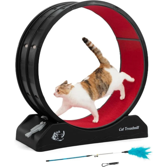 Cat Exercise Wheel