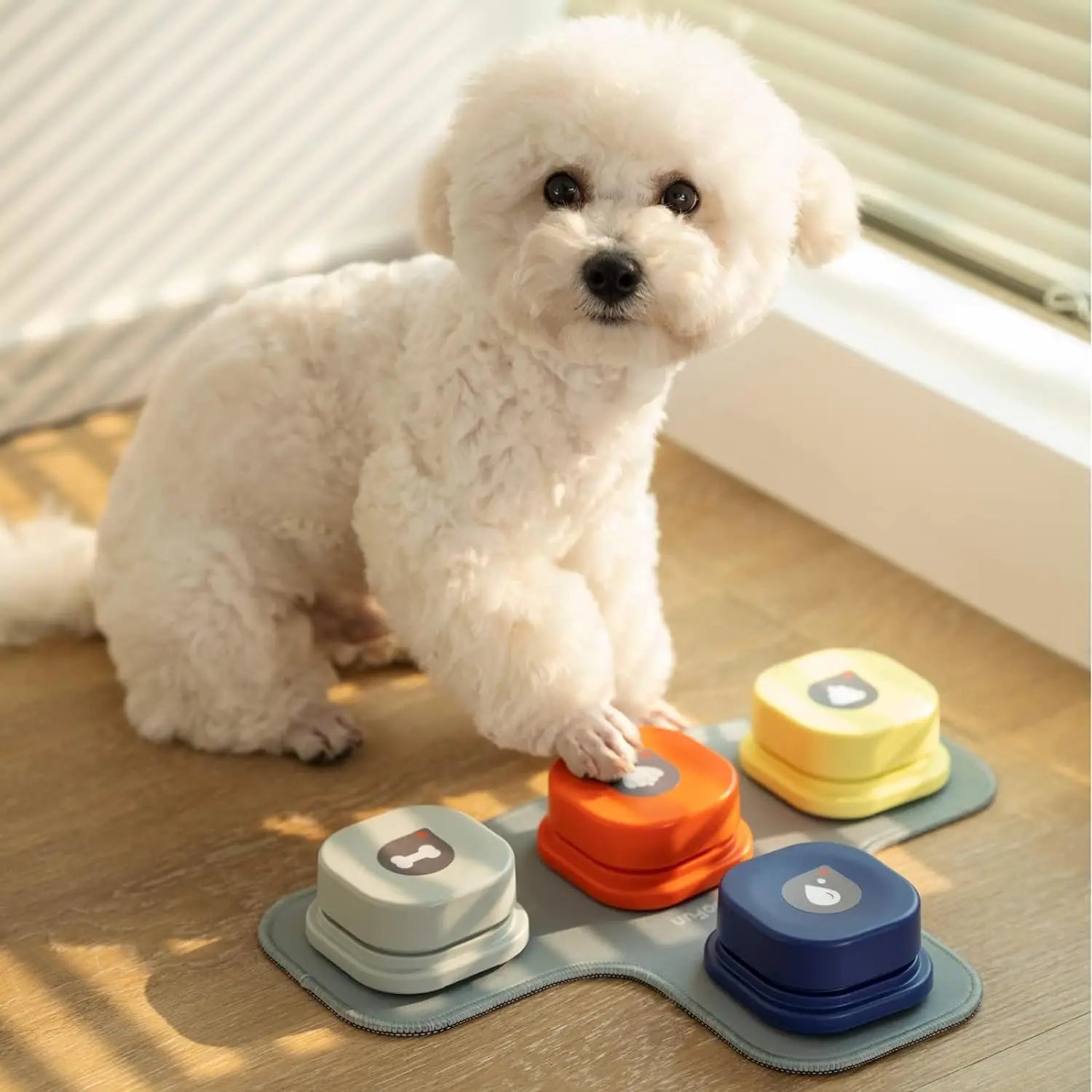 Recordable Pet Communication Kit with Non-Slip Mat