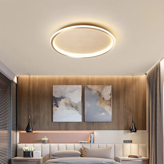 LED modern ceiling light, living room