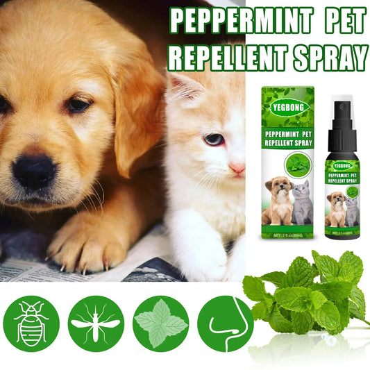 60ml Flea & Tick Spray for Cats & Dogs
