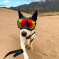 Load image into Gallery viewer, Adjustable Dog Goggles – UV Protection Windproof Sunglasses
