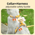 Load image into Gallery viewer, Cat Harness Leash Collar Set Adjustable
