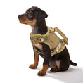 Load image into Gallery viewer, Tactical Cat Harness with Leash
