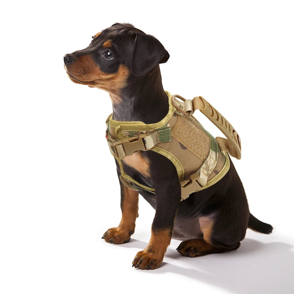 Tactical Cat Harness with Leash
