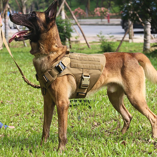5Pcs Large Dog Harness for German Shepherd & Malinois