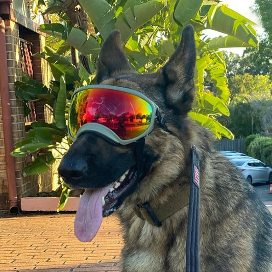 Adjustable Dog Goggles – UV Protection Windproof Sunglasses