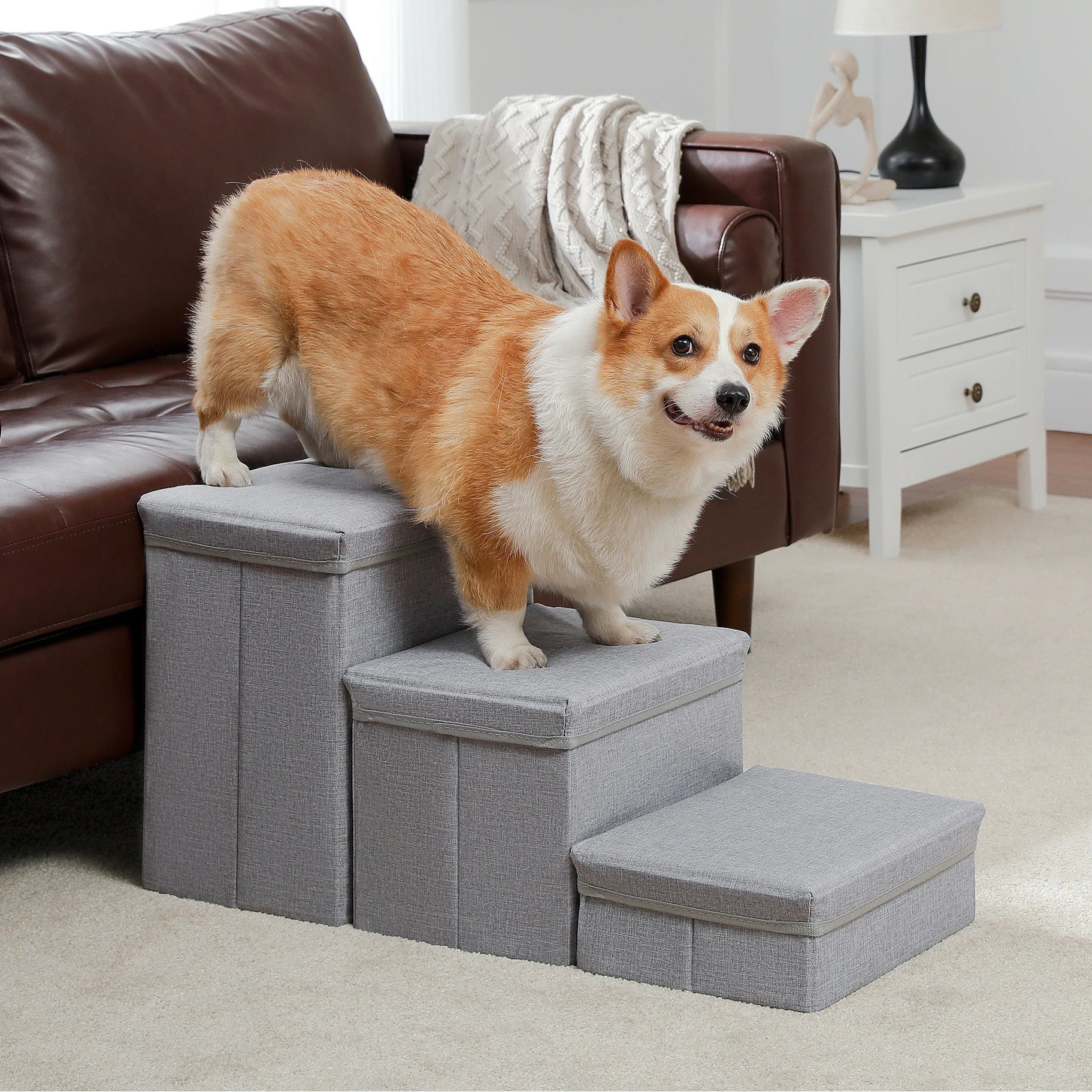 Foldable Pet Stair with Storage Box