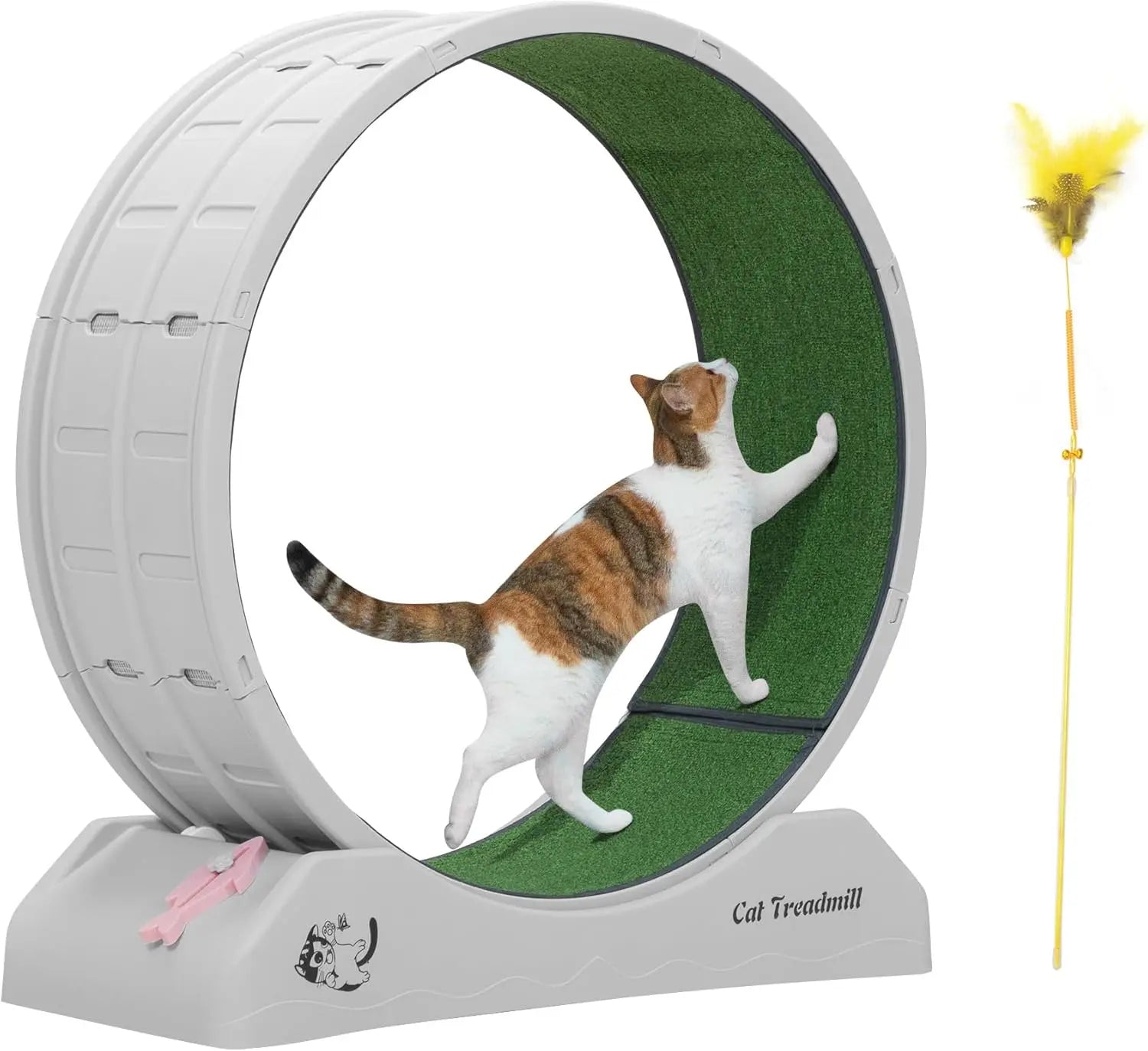 Cat Exercise Wheel