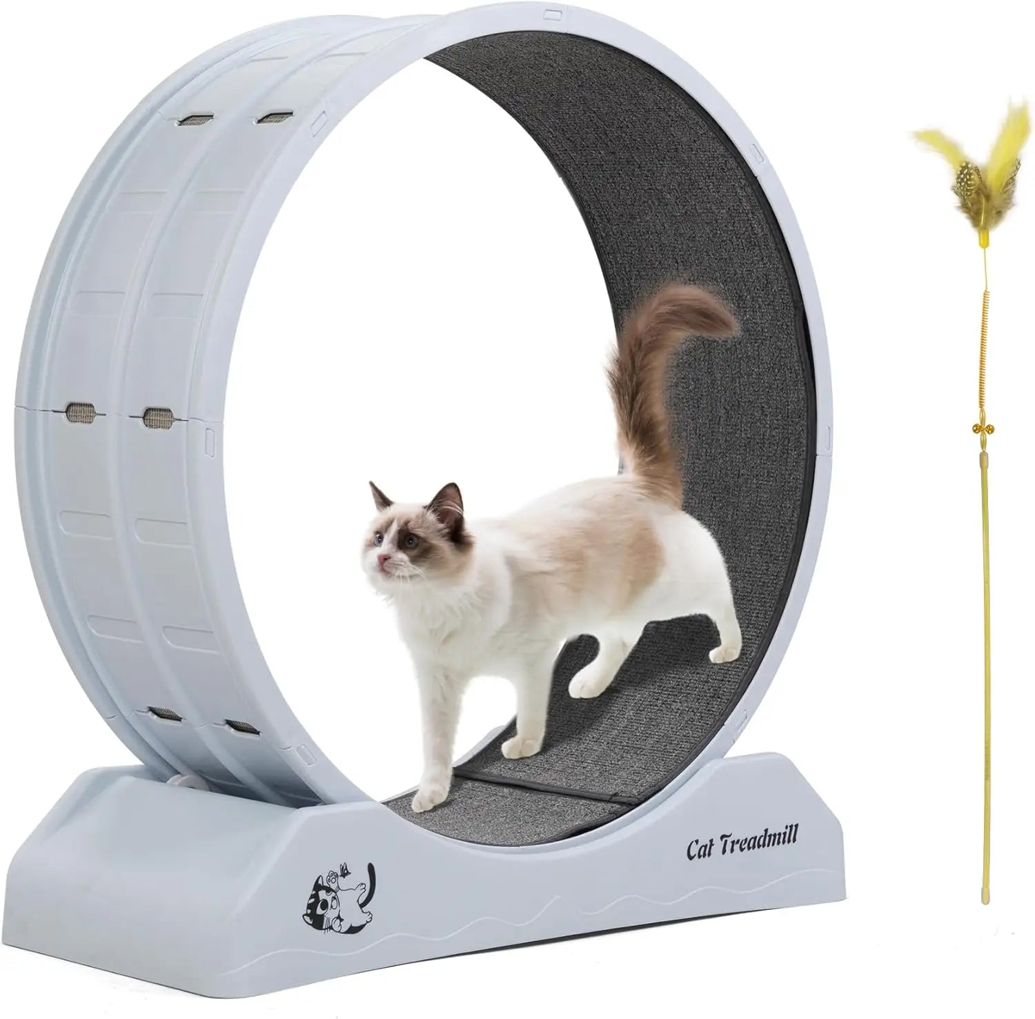 Cat Exercise Wheel
