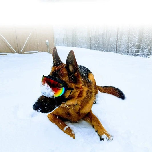 Adjustable Dog Goggles – UV Protection Windproof Sunglasses