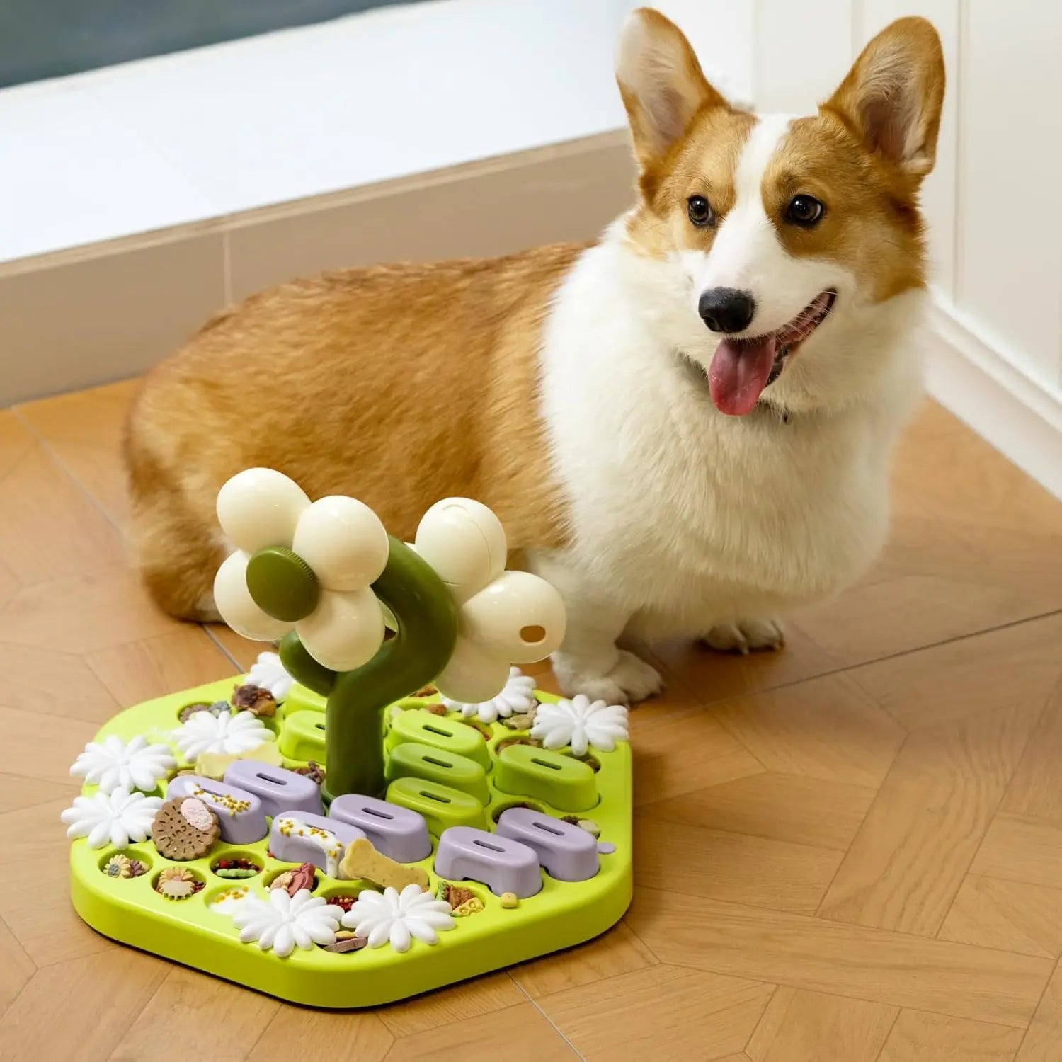 Interactive dog puzzle toy - IQ Training Level 4