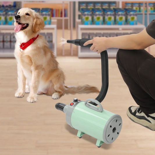 Adjustable Wind Speed, Electric Dog & Cat Hair Dryer with 4 Nozzles