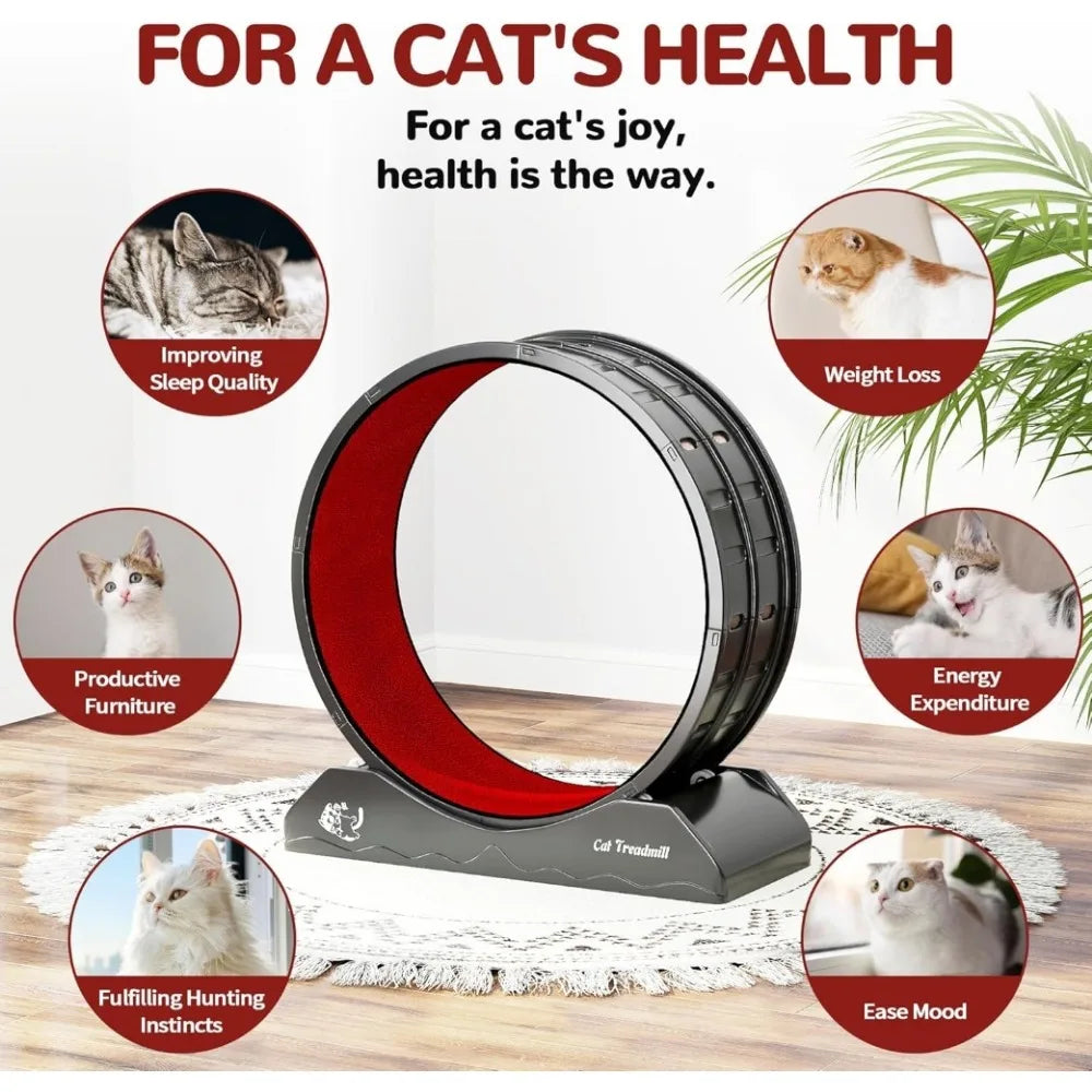 Cat Exercise Wheel