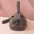 Load image into Gallery viewer, Plush One Shoulder Cat Bag
