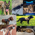 Load image into Gallery viewer, Military Large Dog Harness Collar
