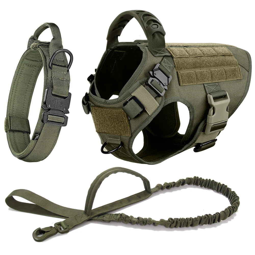 Training Vest for German Shepherd & Malinois
